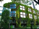 jardins suspensos