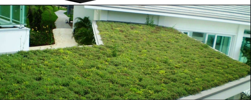 jardins suspensos