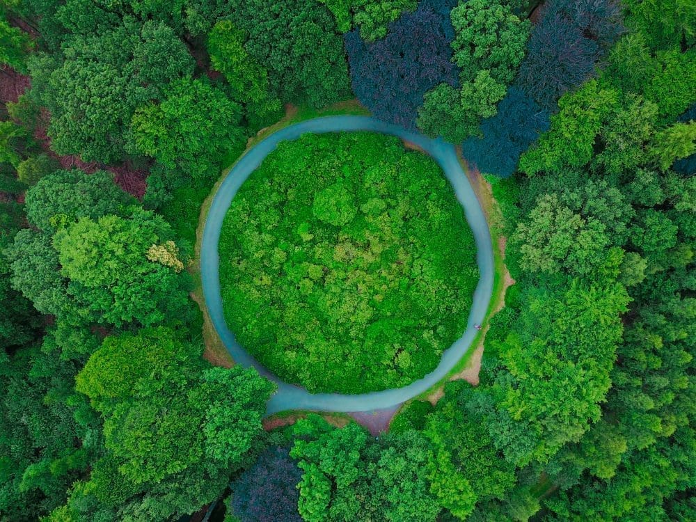 Sustentabilidade