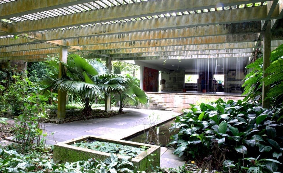 oásis urbano