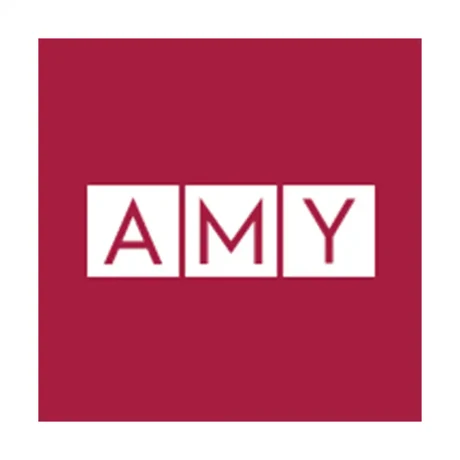 AMY Engenharia e Empreendimentos