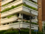 Quando o paisagismo erra, quem paga a conta?