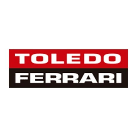 Toledo Ferrari